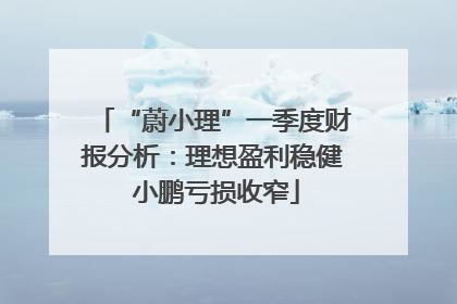 “蔚小理”一季度财报分析：理想盈利稳健 小鹏亏损收窄
