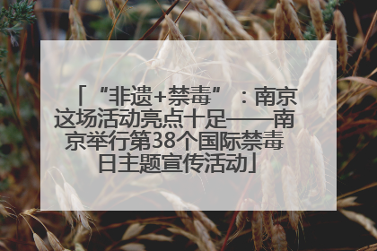 “非遗+禁毒”：南京这场活动亮点十足——南京举行第38个国际禁毒日主题宣传活动