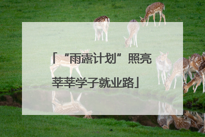 “雨露计划”照亮莘莘学子就业路
