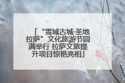 “雪域古城·圣地拉萨”文化旅游节圆满举行 拉萨文旅提升项目惊艳亮相