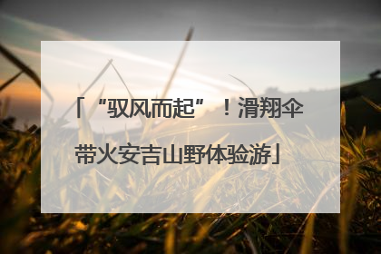 “驭风而起”！滑翔伞带火安吉山野体验游