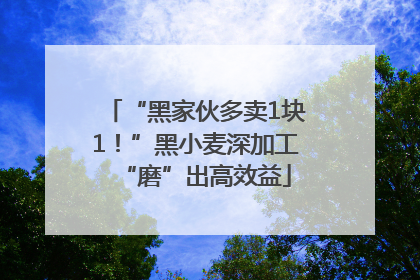 “黑家伙多卖1块1！”黑小麦深加工“磨”出高效益