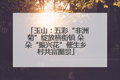 玉山：五彩“非洲菊”绽放横街镇 朵朵“振兴花”催生乡村共富图景