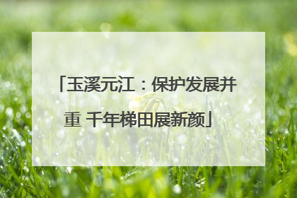 玉溪元江：保护发展并重 千年梯田展新颜
