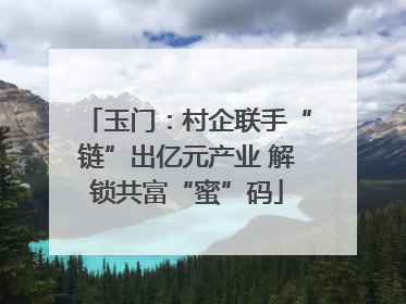 玉门：村企联手“链”出亿元产业 解锁共富“蜜”码