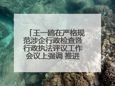 王一鸥在严格规范涉企行政检查暨行政执法评议工作会议上强调 推进涉企行政检查质效大幅提升