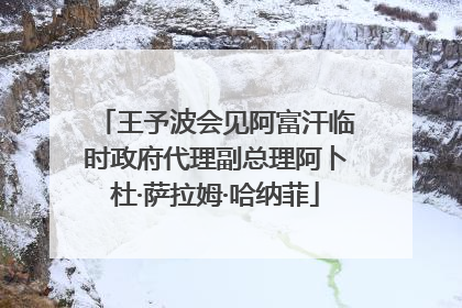 王予波会见阿富汗临时政府代理副总理阿卜杜·萨拉姆·哈纳菲