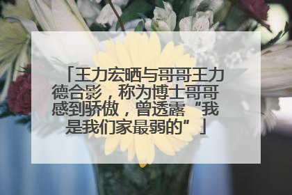 王力宏晒与哥哥王力德合影，称为博士哥哥感到骄傲，曾透露“我是我们家最弱的”