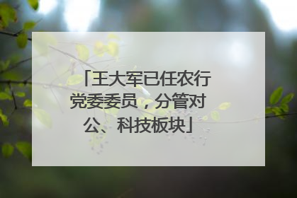 王大军已任农行党委委员，分管对公、科技板块