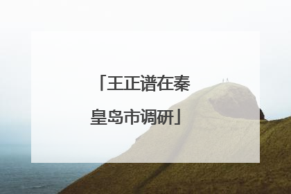 王正谱在秦皇岛市调研