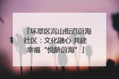 环翠区嵩山街道蔚海社区：文化融心 共建幸福“悦龄蔚海”