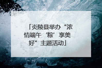 炎陵县举办“浓情端午‘粽’享美好”主题活动