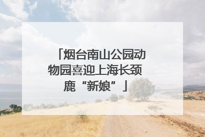 烟台南山公园动物园喜迎上海长颈鹿“新娘”