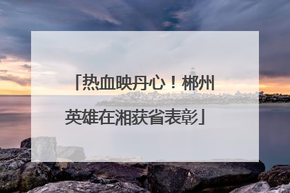 热血映丹心！郴州英雄在湘获省表彰