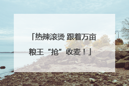 热辣滚烫 跟着万亩粮王“抢”收麦！