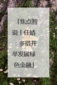 焦点智说丨任婧：多措并举发展绿色金融