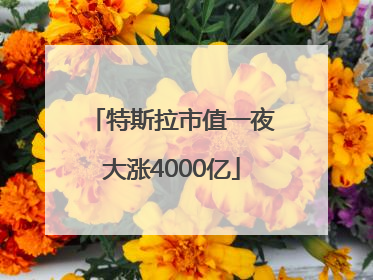 特斯拉市值一夜大涨4000亿