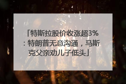 特斯拉股价收涨超3%：特朗普无意沟通，马斯克父亲劝儿子低头
