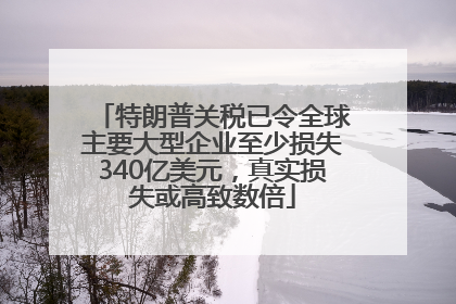 特朗普关税已令全球主要大型企业至少损失340亿美元，真实损失或高致数倍