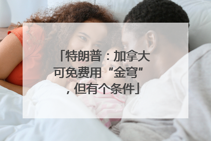 特朗普：加拿大可免费用“金穹”，但有个条件