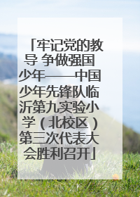 牢记党的教导 争做强国少年——中国少年先锋队临沂第九实验小学（北校区）第三次代表大会胜利召开