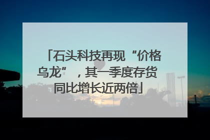 石头科技再现“价格乌龙”，其一季度存货同比增长近两倍