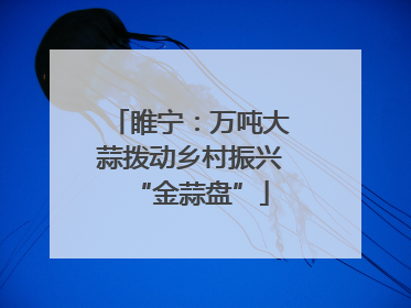 睢宁：万吨大蒜拨动乡村振兴“金蒜盘”