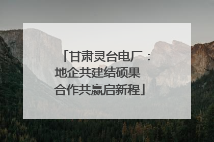 甘肃灵台电厂：地企共建结硕果 合作共赢启新程