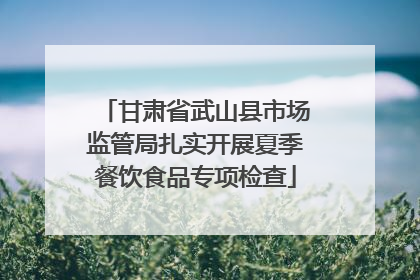 甘肃省武山县市场监管局扎实开展夏季餐饮食品专项检查