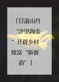 甘肃山丹“沙里淘金”开辟乡村致富“新赛道”