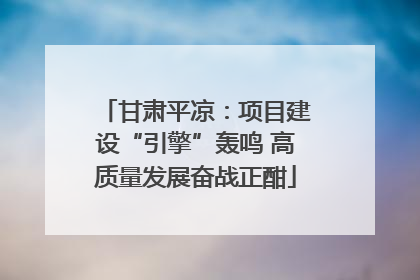 甘肃平凉：项目建设“引擎”轰鸣 高质量发展奋战正酣