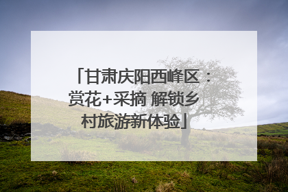 甘肃庆阳西峰区：赏花+采摘 解锁乡村旅游新体验