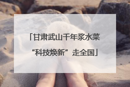 甘肃武山千年浆水菜“科技焕新”走全国