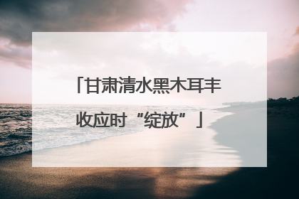 甘肃清水黑木耳丰收应时“绽放”
