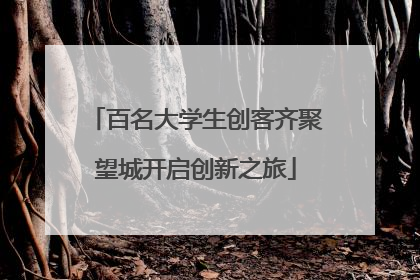 百名大学生创客齐聚望城开启创新之旅