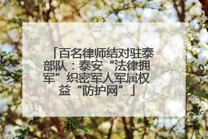 百名律师结对驻泰部队：泰安“法律拥军”织密军人军属权益“防护网”