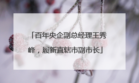 百年央企副总经理王秀峰，履新直辖市副市长