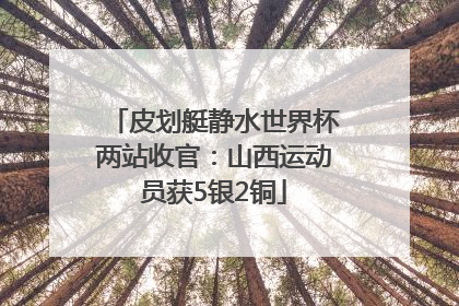 皮划艇静水世界杯两站收官：山西运动员获5银2铜
