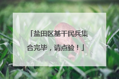 盐田区基干民兵集合完毕，请点验！
