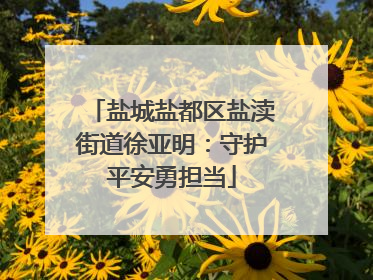 盐城盐都区盐渎街道徐亚明：守护平安勇担当