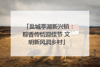 盐城亭湖新兴镇：粽香传情迎佳节 文明新风润乡村