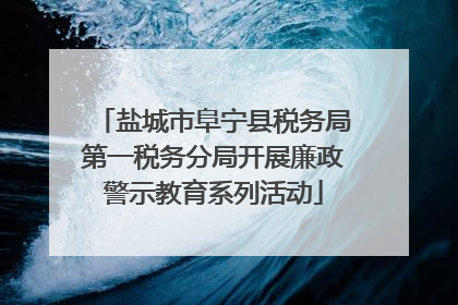 盐城市阜宁县税务局第一税务分局开展廉政警示教育系列活动