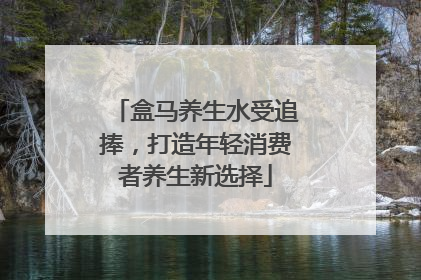 盒马养生水受追捧，打造年轻消费者养生新选择
