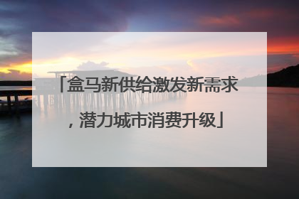 盒马新供给激发新需求，潜力城市消费升级