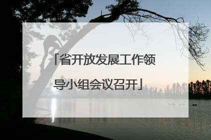 省开放发展工作领导小组会议召开
