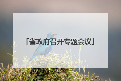 省政府召开专题会议