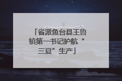 省派鱼台县王鲁镇第一书记护航“三夏”生产