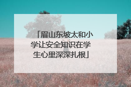 眉山东坡太和小学让安全知识在学生心里深深扎根