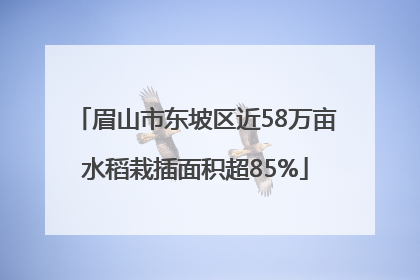 眉山市东坡区近58万亩水稻栽插面积超85%