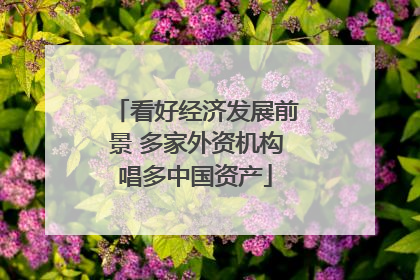 看好经济发展前景 多家外资机构唱多中国资产